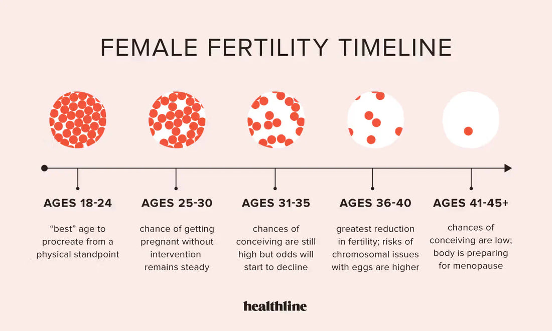 🧬 When Is the Best Time to Take a Fertility Test? (For both Men and Women)