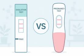 SP-10 vs LH vs HCG: What Each Fertility Test Shows & When to Use It