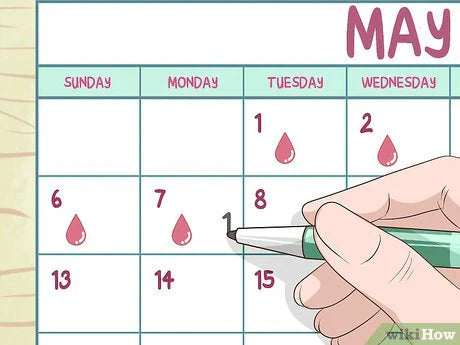 A 30-Day Fertility Plan for Couples (Daily Checklist using SP-10, LH & HCG)